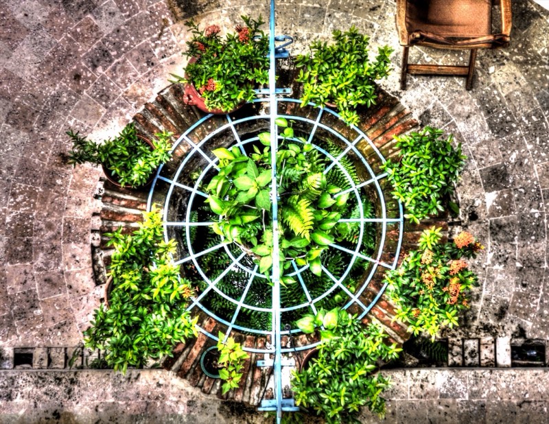 The Well (35680404)